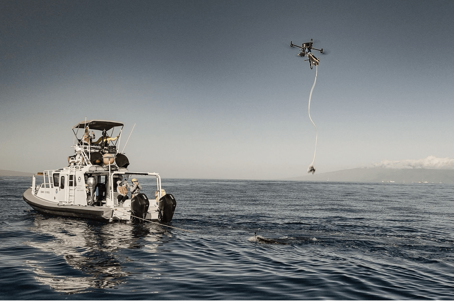 Fundraiser: A Drone in Support of Whale Disentanglement